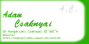 adam csaknyai business card